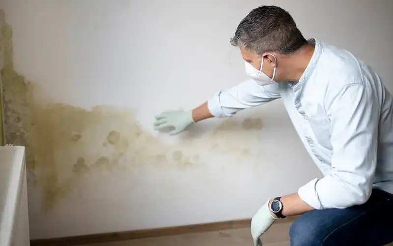 Ypsilanti MI Mold Inspection